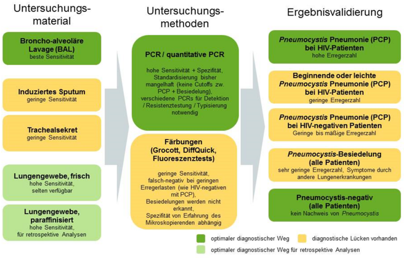 Datei:Diagnostik 1700544809520.png